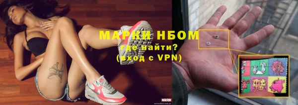 стафф Надым