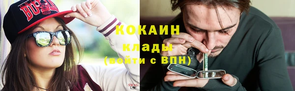 стафф Надым