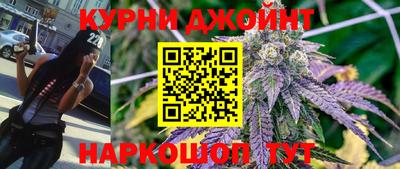 стафф Камышлов