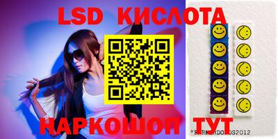 стафф Камышлов