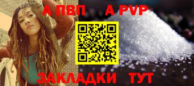 стафф Камышлов