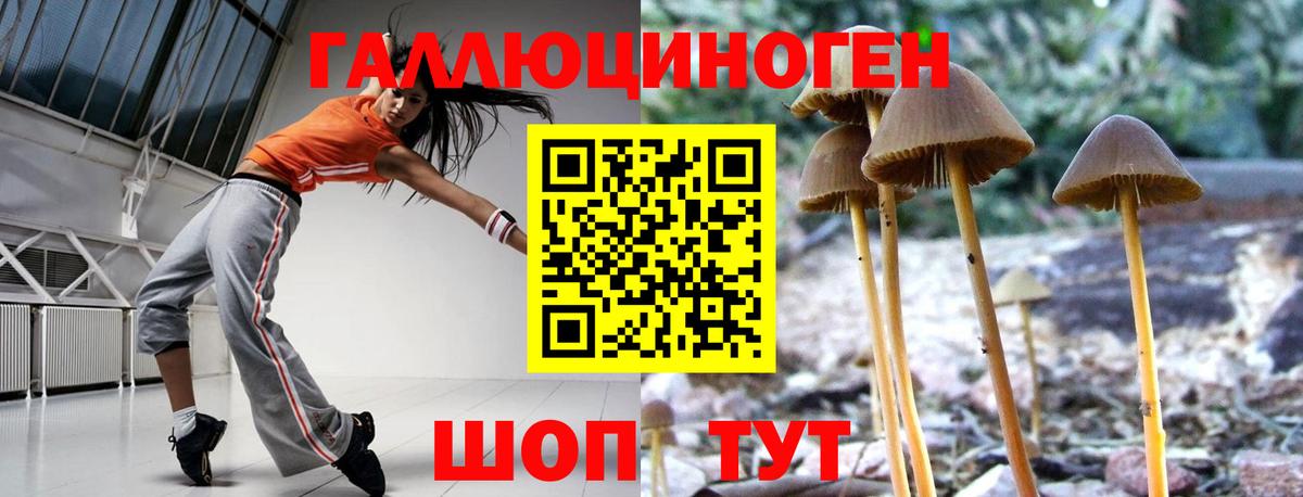 Псилоцибиновые грибы мицелий Полевской